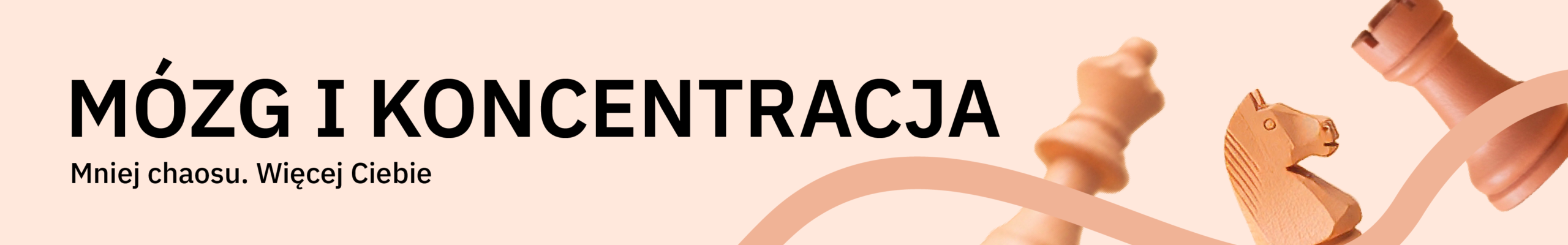 Suplementy na mózg i koncentrację | Alto